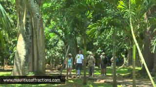 Pamplemousse Botanical Garden  Jardin de Pamplemousse Mauritius – Ile Maurice [upl. by Felita890]