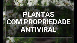 Conheça seis plantas com propriedade antiviral [upl. by Adihsaar]