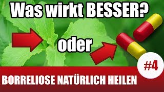 BorrelioseTherapie mit natürlichen Antibiotika Borreliose Behandlung natürlich 4 [upl. by Idissac]