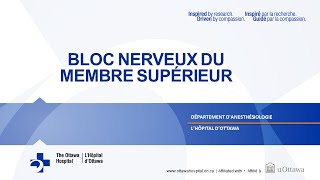 2 Bloc Nerveux du Membre Supérieur [upl. by Lashondra]