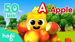 ABC Song for Kids｜Alphabet Balloon  More｜Jingle Play｜Learn Colors for Kids｜Hogi Pinkfong [upl. by Abekam840]