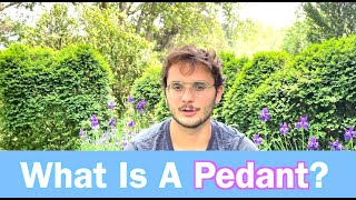 What is A Pedant Learn Daily Vocabulary [upl. by Qifahs870]