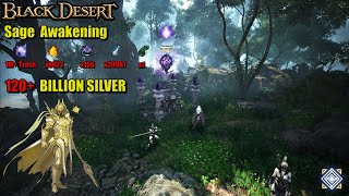 BDO  Sage Awakening ⚡ 1 MILLION TRASH at Thornwood Forest  PvE Combo Addons [upl. by Cott106]