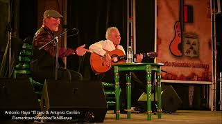 Antonio Haya quotEl Jaroquot 47º Salmorejo Flamenco de Baena Córdoba [upl. by Allerym]