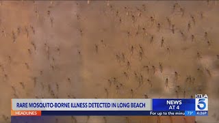 Long Beach confirms first case of mosquitoborne St Louis Encephalitis since 1984 [upl. by Burgess]