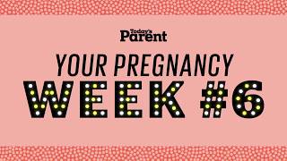 6 Weeks Pregnant  What to Expect [upl. by Meave]