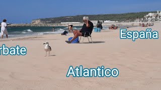 Vacaciones Atlantico Barbate España spain atlántico vacation жизньвиспании [upl. by Eicyac]