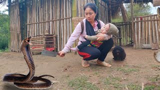 TIMELAPSE 120 days of single mothers facing danger in the forest  Building a new life [upl. by Aramois]