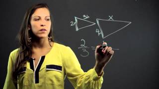 How to Solve Problems Involving Similar Figures  Math Solutions [upl. by Emory]