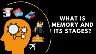 What is memory and its stages [upl. by Yrffej]