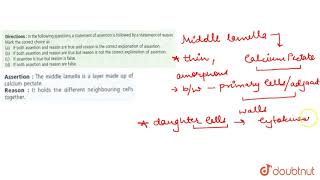 Assertion  The middle lamella is a layer made up of calcium pectate Reason [upl. by Zirtaeb]