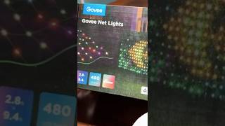 Effortless Holiday Glow Govee Outdoor Net Lights [upl. by Nonarb]