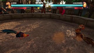 Ive become a pro at Cockfighting  Far Cry 6 PS5 Gameplay [upl. by Anerul]