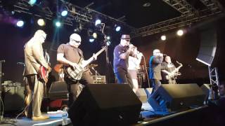 Doghouse Ska with Madness at the Belfast Mod and Ska Festival 17122016 [upl. by Anaejer]