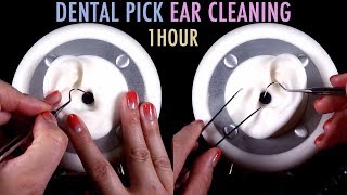 ASMR 1 Hour of Ear Cleaning wDental Pick amp Tweezers No Talking [upl. by Vacla]