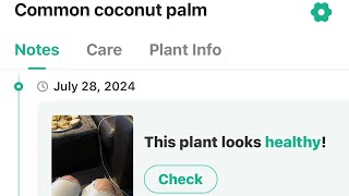 Plant Identifier App Says Markie’s Knobbly Knees are Palm Trees🌴 🤣 [upl. by Gilliette403]