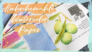 Hahnemühle Watercolor Paper  Art Supply Review [upl. by Eob962]