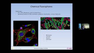 20240130 Fluorescence and fluorophores [upl. by Eey]