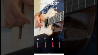 Flamenco Strumming Video  Torpedo Tempo  125 bpm [upl. by Verlee908]