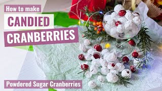 CANDIED CRANBERRIES  Powdered Sugar Cranberries  Edible Cake Decorations  Sugared Cranberries [upl. by Aratehs]