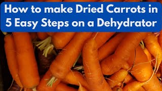 How to make Dried Carrots in 5 Easy Steps on a Dehydrator [upl. by Lennej]