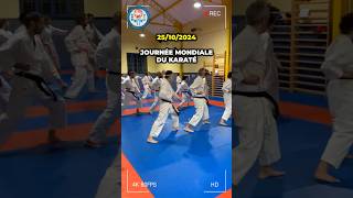 Estu prêt pour le Challenge 100 Kata 🥋 Journée mondiale du karaté 2510 [upl. by Ahsertal]