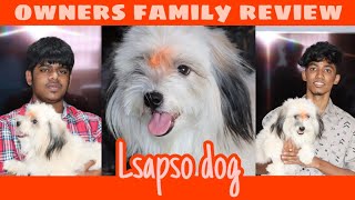 Lhasa Apso dog 🐶  owners family review of lsapso breed🔥  Tamil  Pets Mall 🐾 [upl. by Ahsiat]