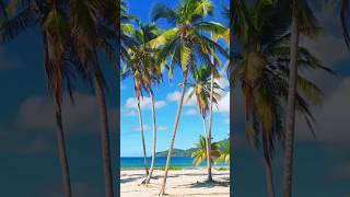 Jamaica Reggae Therapy Happy Reggae 🌴 reggaejamaica jamaicatravel reggaemix [upl. by Enialahs]