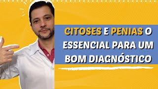 Citoses e penias em cães e gatos o que significam [upl. by Frances]