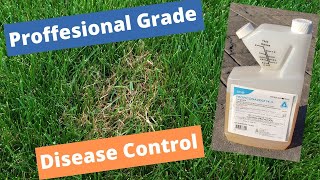 Fight lawn disease the professional way PROPICONAZOLE Stop wasting money on those weak products [upl. by Karl]