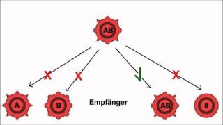 Blutgruppen [upl. by Georgia]
