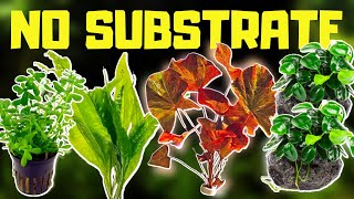 TOP 10 NO SUBSTRATE BEGINNER AQUARIUM PLANTS [upl. by Hum]