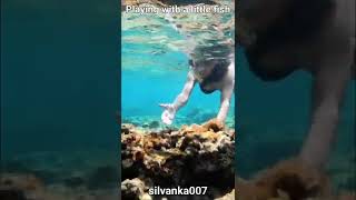 Kefalonia Snorkeling  Playing with a little fish  IONIAN SEA Greece  GoPro Hero9 shorts viral [upl. by Ardiekal]