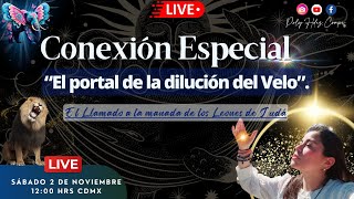 💥CONEXIÓN ESPECIAL quotEl Portal de la dilución del Veloquot [upl. by Nottirb32]