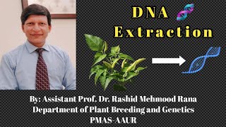 DNA Extraction using CTAB method  Urdu  Hindi  by Dr Rashid Mehmood Rana [upl. by Nomar]