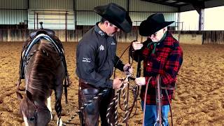 Transitioning from Snaffle or Hackamore to a Shanked Bit [upl. by Prescott]