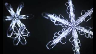 Sixsided snowflakes bloom in slow motion [upl. by Asirret]