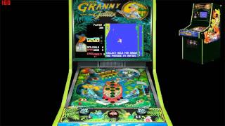 Granny and the Gators Pinball Game 1983 Midway [upl. by Aileduab]