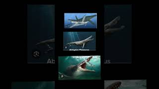 Otodus Obliquus vs All prehistoric Marine reptiles otodus shorts shortvideomarinereptile [upl. by Rriocard]