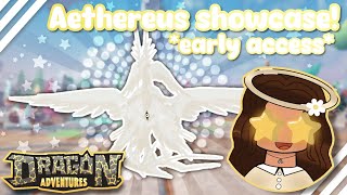 AETHEREUS SHOWCASE ANGEL DRAGON test server Dragon Adventures Roblox [upl. by Eidson734]