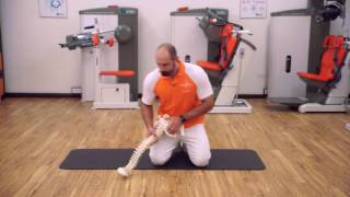 STRETCHING e ALLUNGAMENTO PIRIFORME [upl. by Joette619]