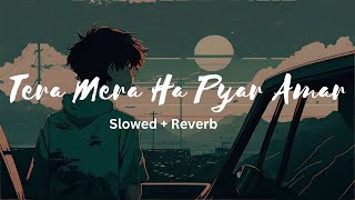 Tera Mera Ha Pyar Amar  Ishq Murshid Ost  Slowed  Reverb [upl. by Virg318]