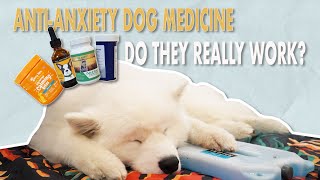 Does Your Dog Have Anxiety AntiAnxiety Medication for Dogs  Trazodone Calming Chews amp CBD Oil [upl. by Wenn886]