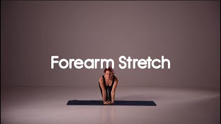 How to Stretch Forearms  Quick Demo [upl. by Carmel]