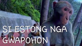 Si Estong Nga Gwapohonmp3 😆 [upl. by Latsirhc909]