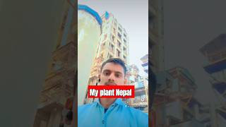 My plant Nepal ghorahirpcnewvideo shorts [upl. by Sabah86]