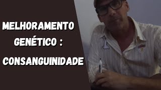 Melhoramento Genético  Consanguinidade [upl. by Sirovart]