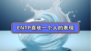 ENTP：喜欢一个人有什么表现？（以及注意事项） [upl. by Mlawsky330]