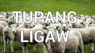 Tupang Ligaw  Beautiful Tagalog Christian Song [upl. by Kristine]