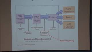 Research Techniques Spring 2019 Ribosome Profiling a monitor for protein systhesis at the genome w [upl. by Yoccm]